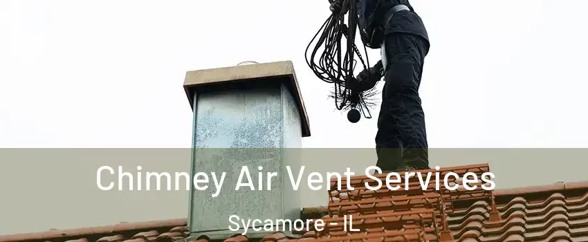  Chimney Air Vent Services Sycamore - IL