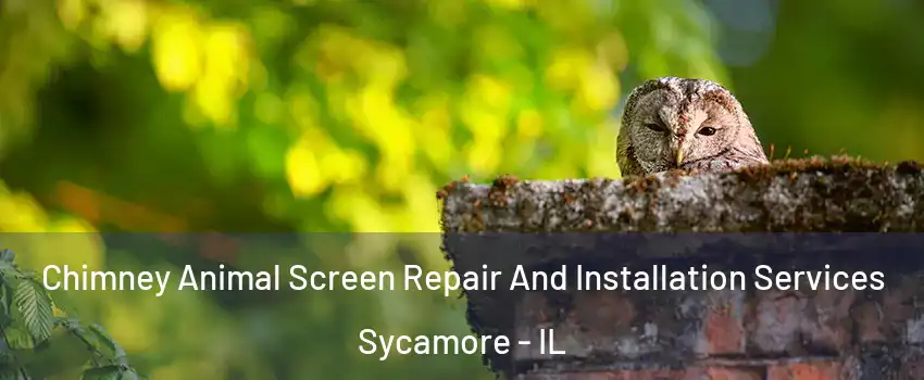  Chimney Animal Screen Repair And Installation Services Sycamore - IL