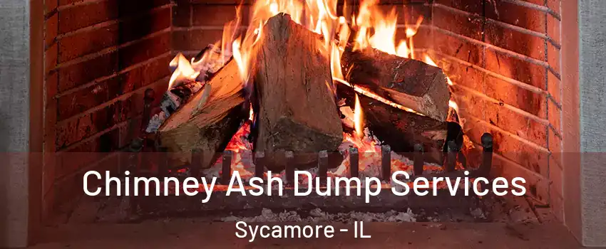  Chimney Ash Dump Services Sycamore - IL