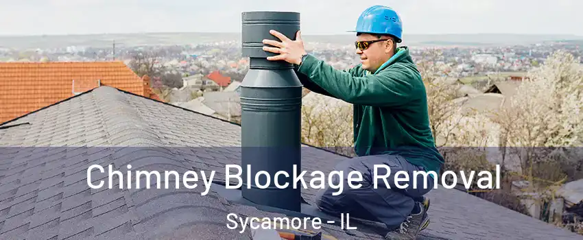  Chimney Blockage Removal Sycamore - IL