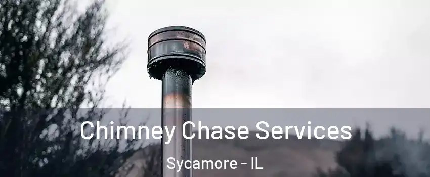  Chimney Chase Services Sycamore - IL