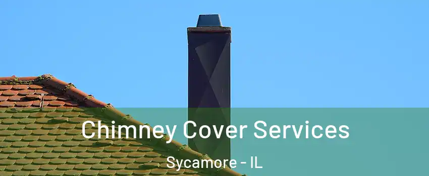 Chimney Cover Services Sycamore - IL