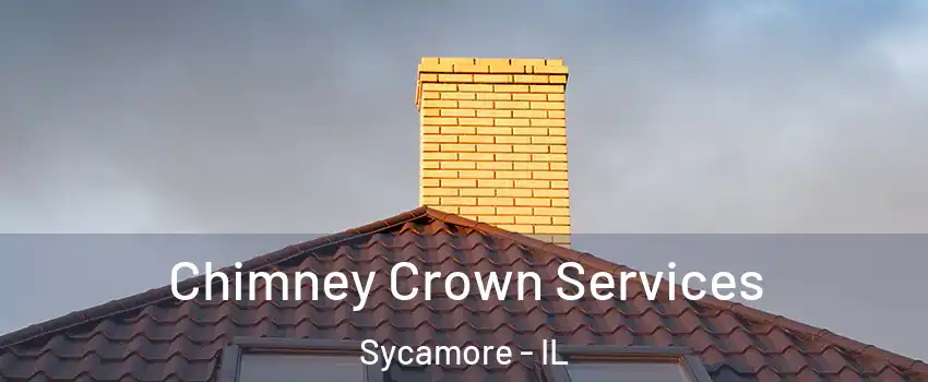  Chimney Crown Services Sycamore - IL