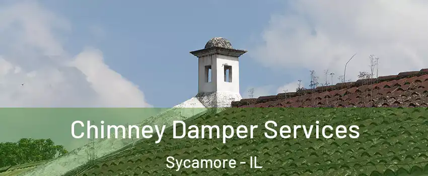  Chimney Damper Services Sycamore - IL
