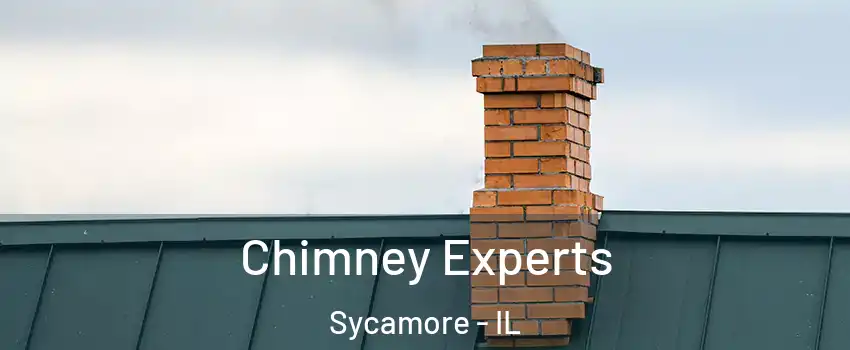  Chimney Experts Sycamore - IL