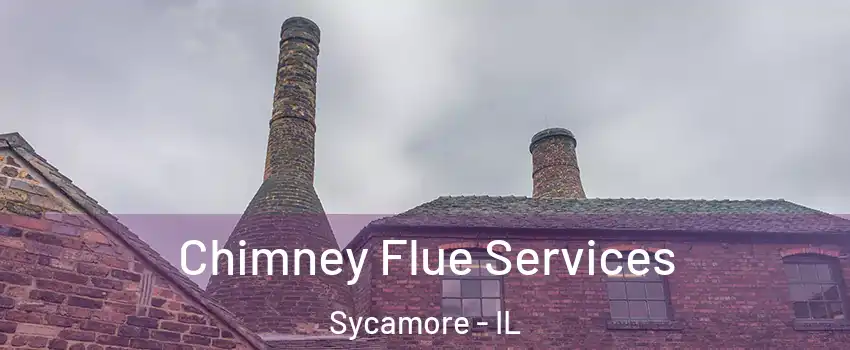  Chimney Flue Services Sycamore - IL