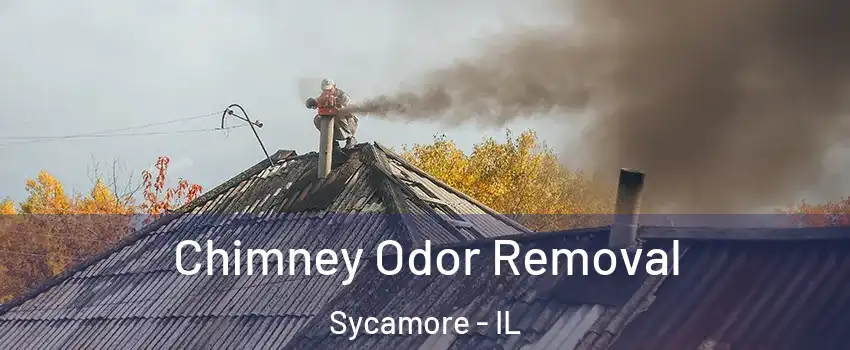  Chimney Odor Removal Sycamore - IL