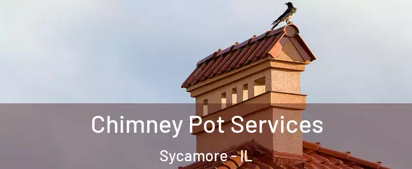  Chimney Pot Services Sycamore - IL