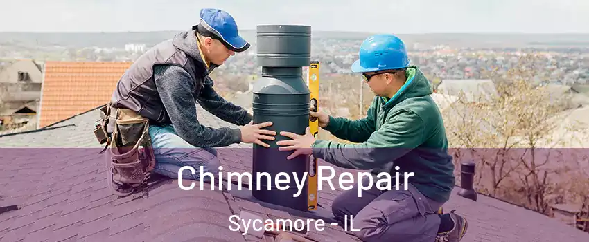  Chimney Repair Sycamore - IL