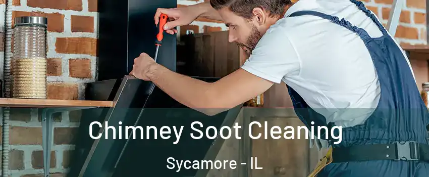  Chimney Soot Cleaning Sycamore - IL