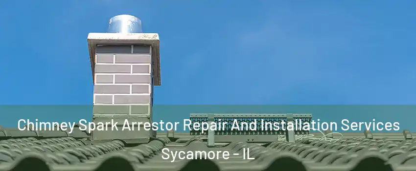  Chimney Spark Arrestor Repair And Installation Services Sycamore - IL
