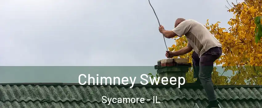  Chimney Sweep Sycamore - IL