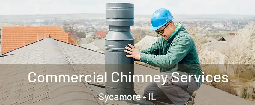  Commercial Chimney Services Sycamore - IL