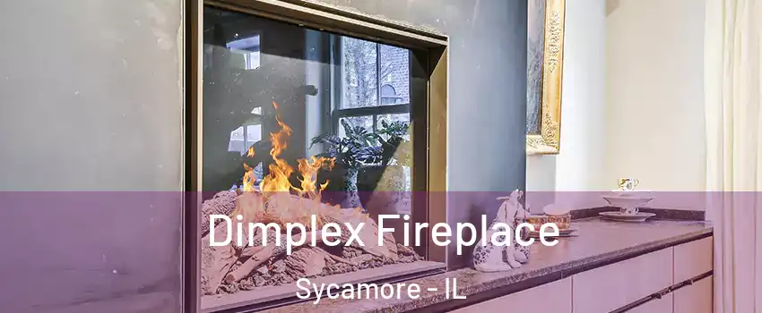  Dimplex Fireplace Sycamore - IL