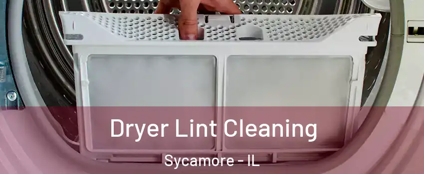  Dryer Lint Cleaning Sycamore - IL