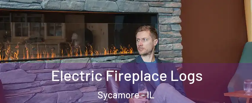  Electric Fireplace Logs Sycamore - IL