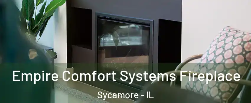  Empire Comfort Systems Fireplace Sycamore - IL