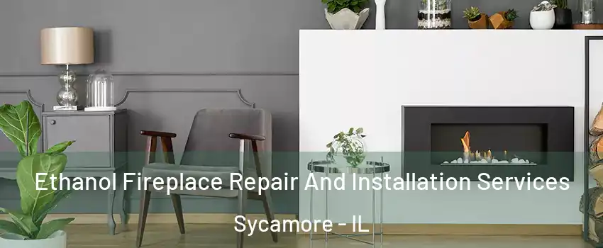  Ethanol Fireplace Repair And Installation Services Sycamore - IL