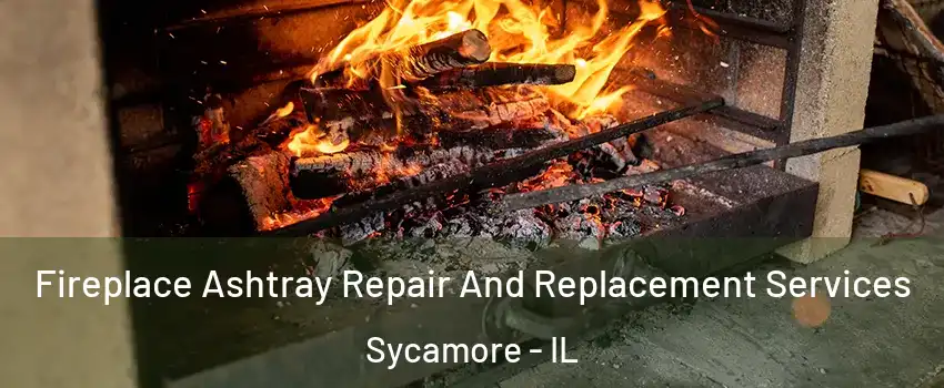  Fireplace Ashtray Repair And Replacement Services Sycamore - IL
