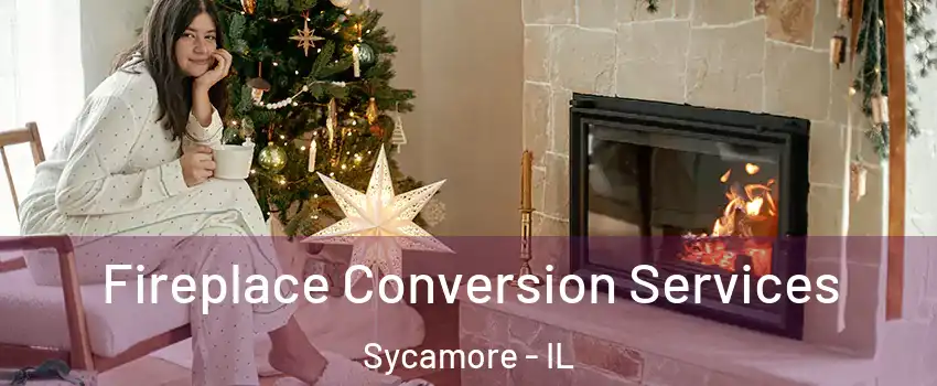  Fireplace Conversion Services Sycamore - IL