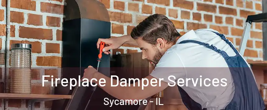  Fireplace Damper Services Sycamore - IL