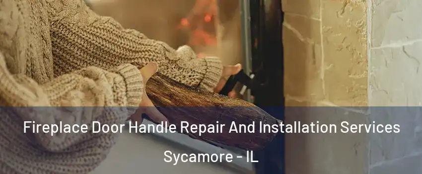  Fireplace Door Handle Repair And Installation Services Sycamore - IL