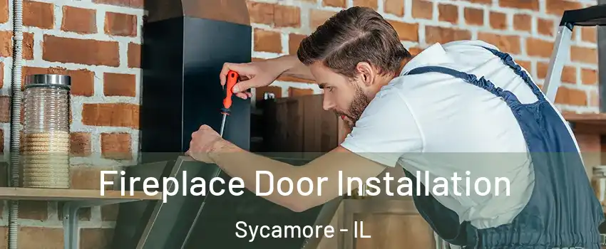 Fireplace Door Installation Sycamore - IL