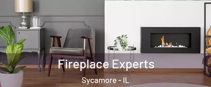  Fireplace Experts Sycamore - IL