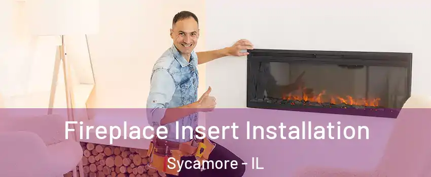  Fireplace Insert Installation Sycamore - IL