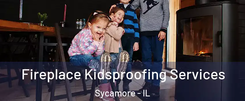 Fireplace Kidsproofing Services Sycamore - IL