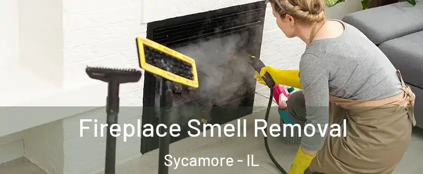  Fireplace Smell Removal Sycamore - IL
