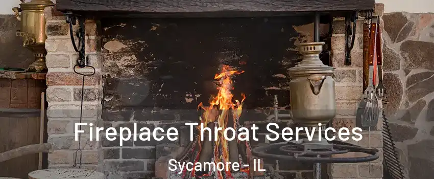  Fireplace Throat Services Sycamore - IL