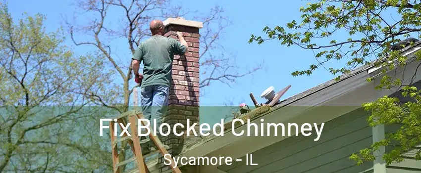  Fix Blocked Chimney Sycamore - IL