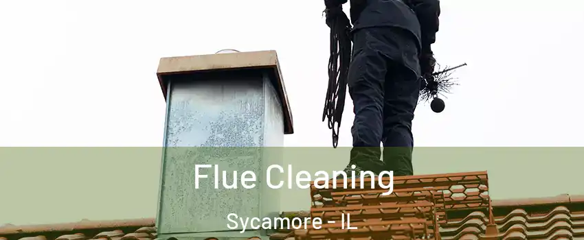  Flue Cleaning Sycamore - IL