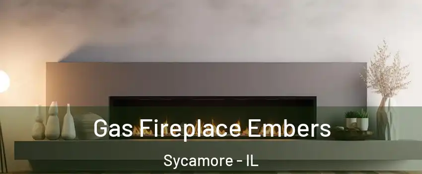  Gas Fireplace Embers Sycamore - IL