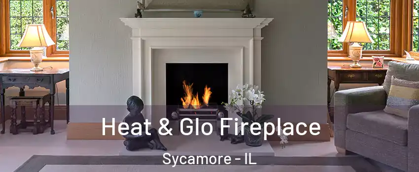  Heat & Glo Fireplace Sycamore - IL