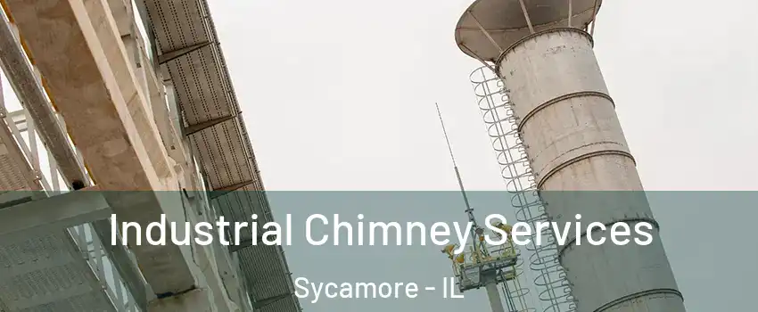  Industrial Chimney Services Sycamore - IL