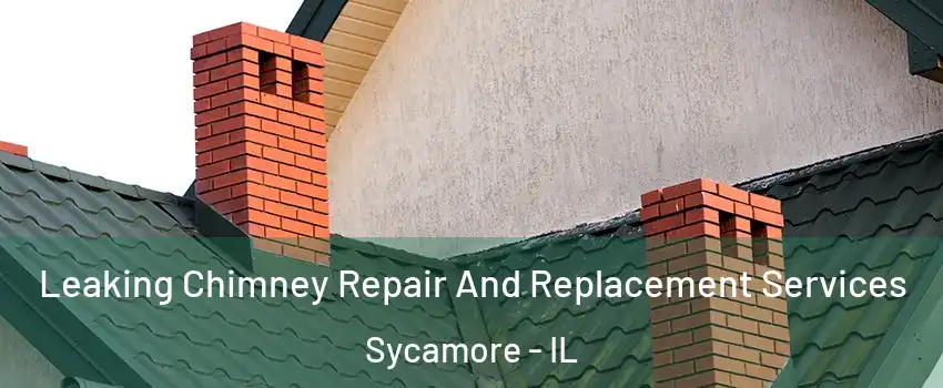  Leaking Chimney Repair And Replacement Services Sycamore - IL