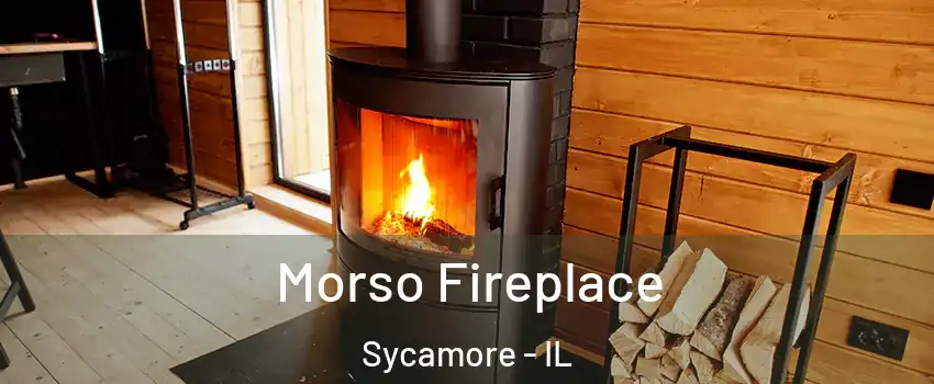  Morso Fireplace Sycamore - IL