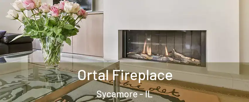  Ortal Fireplace Sycamore - IL