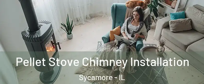 Pellet Stove Chimney Installation Sycamore - IL