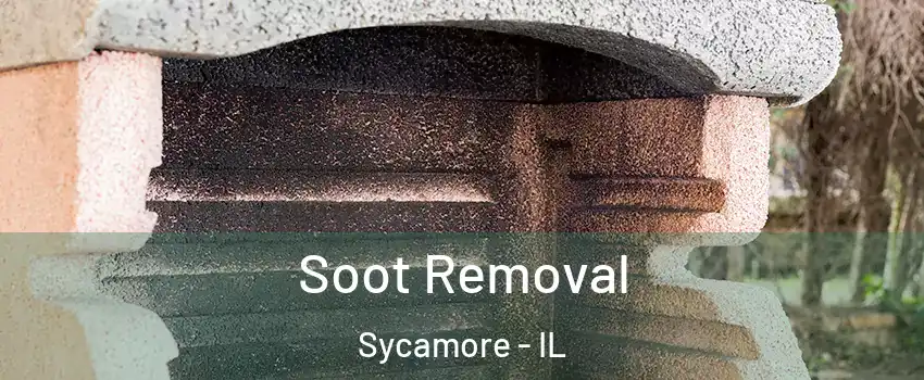  Soot Removal Sycamore - IL