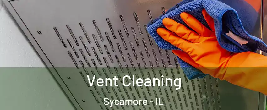  Vent Cleaning Sycamore - IL