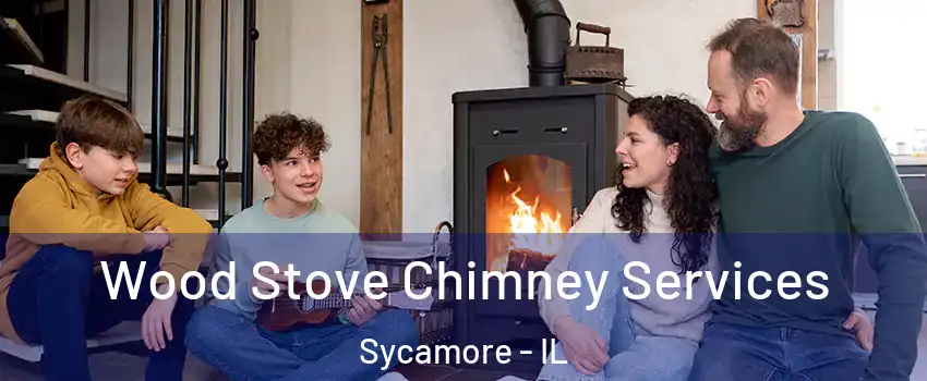 Wood Stove Chimney Services Sycamore - IL